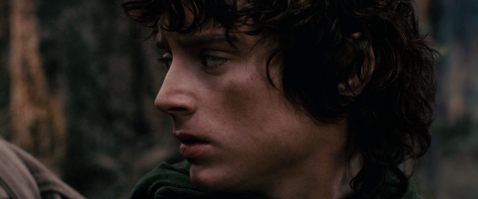 The Lord of the Rings: The Fellowship of the Ring (2001) movie still 17824