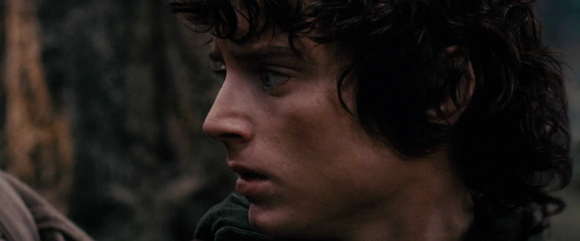 The Lord of the Rings: The Fellowship of the Ring (2001) HD screenshot 17825