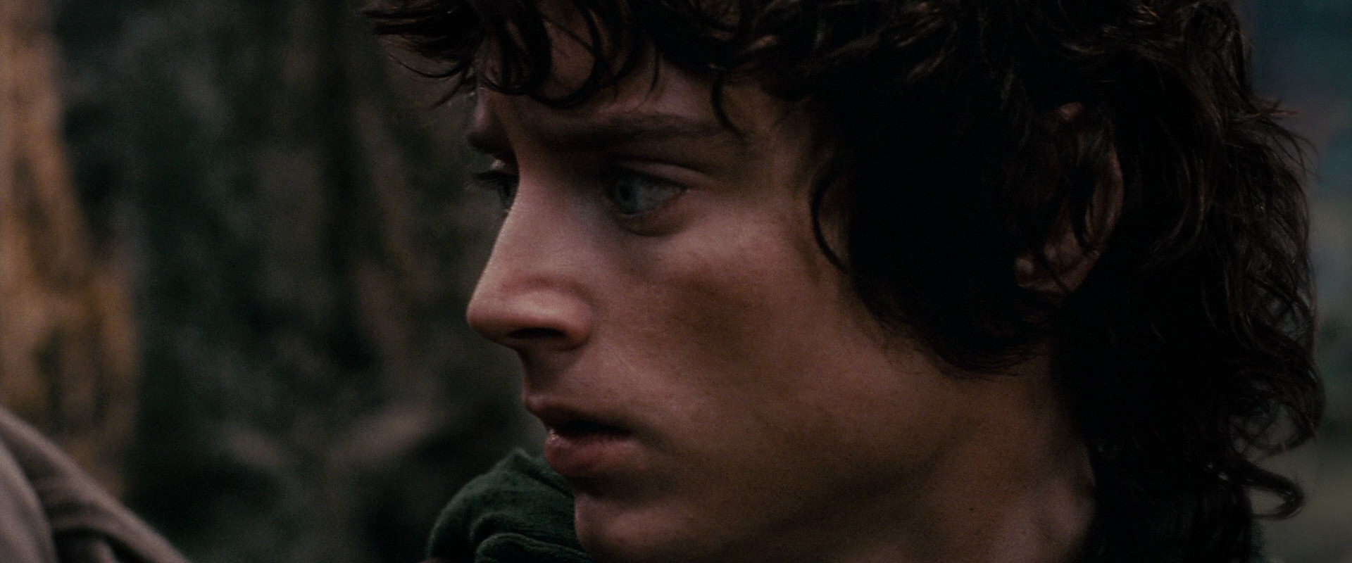 The Lord of the Rings: The Fellowship of the Ring (2001) screencap 17826