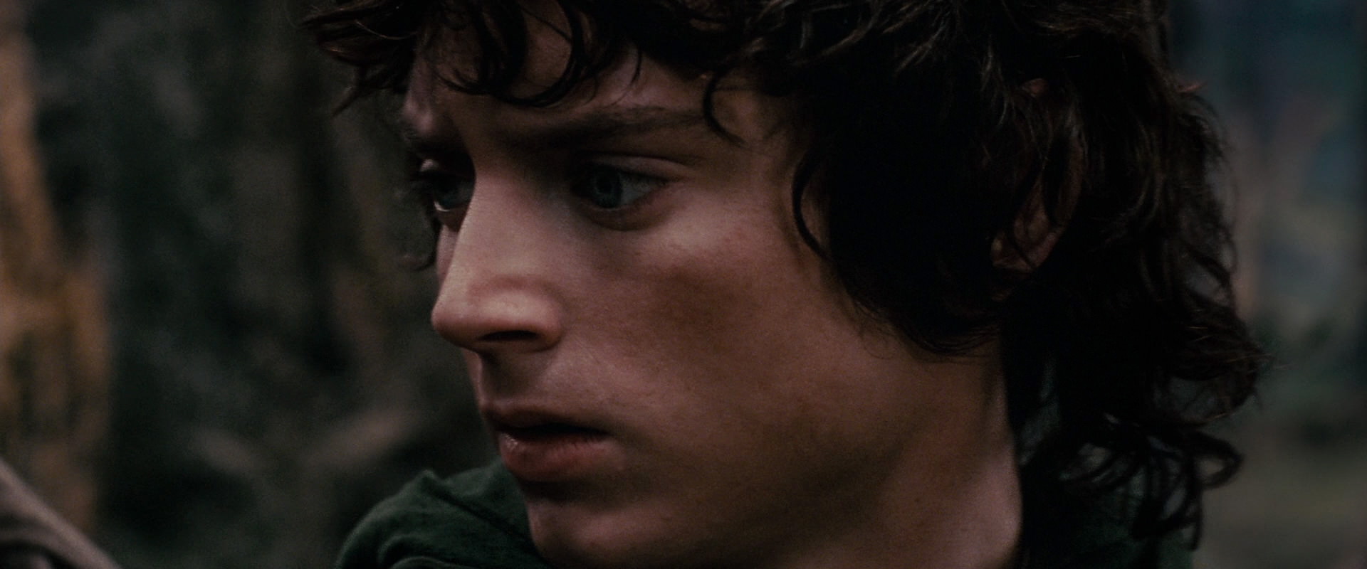 The Lord of the Rings: The Fellowship of the Ring (2001) movie still 17827