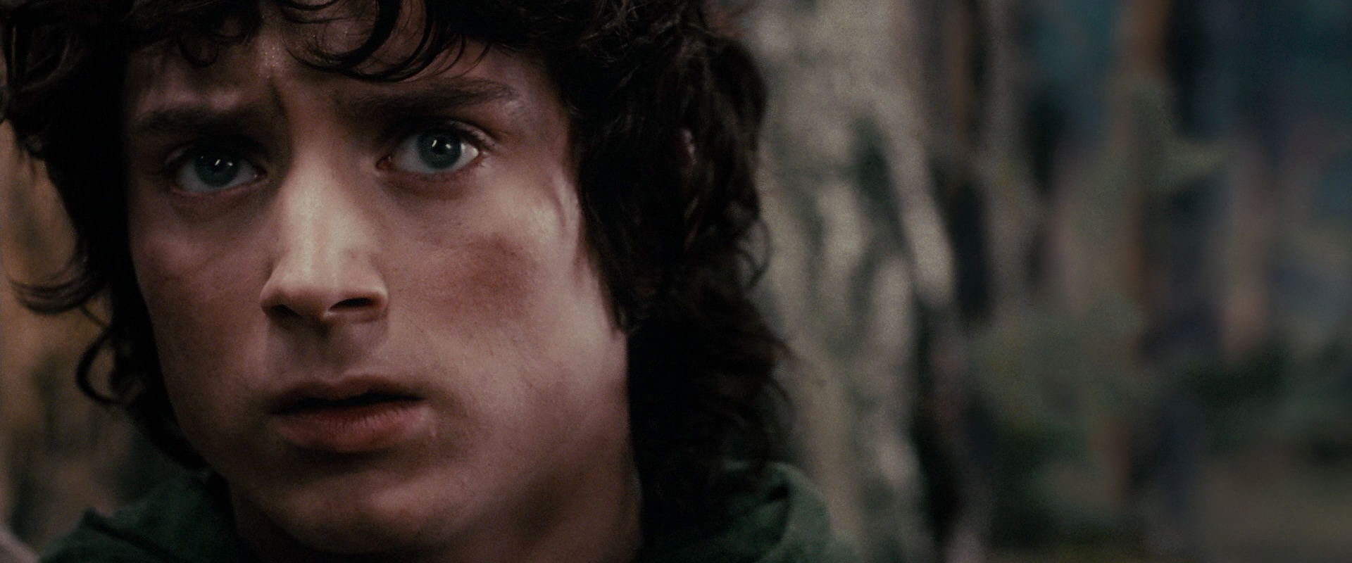 The Lord of the Rings: The Fellowship of the Ring (2001) screencap 17829