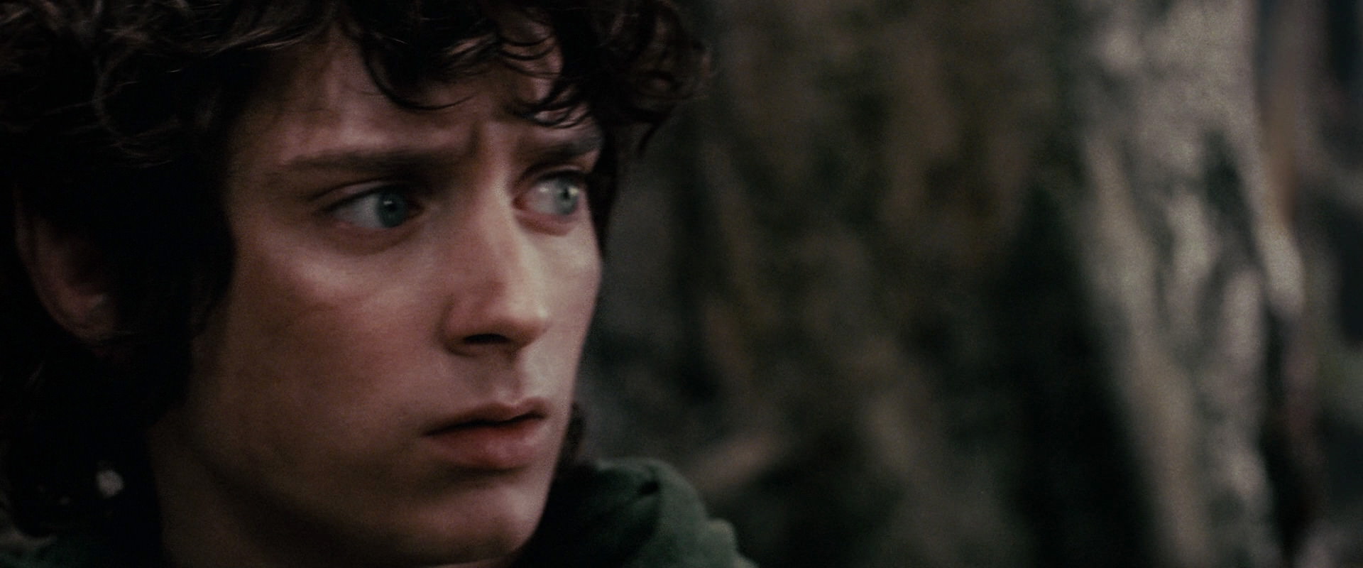 The Lord of the Rings: The Fellowship of the Ring (2001) screencap 17832