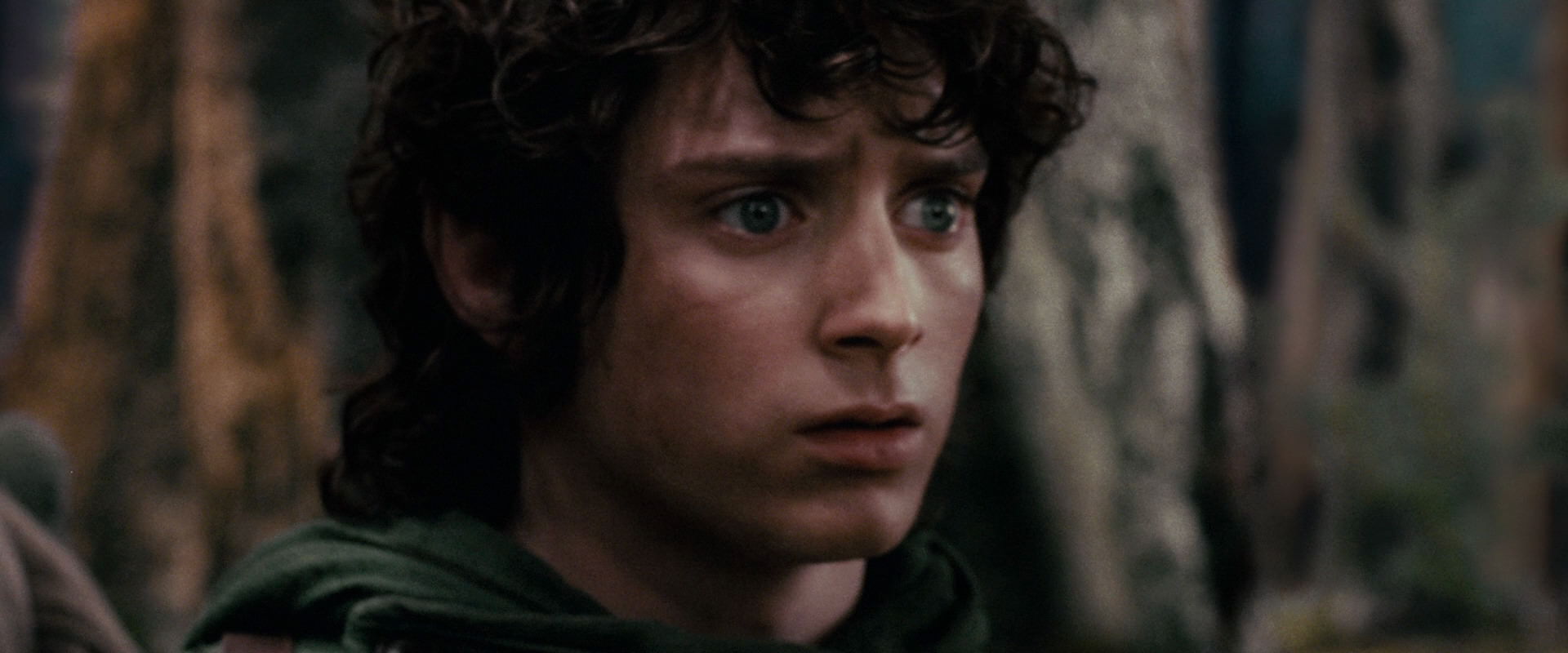 The Lord of the Rings: The Fellowship of the Ring (2001) screencap 17835