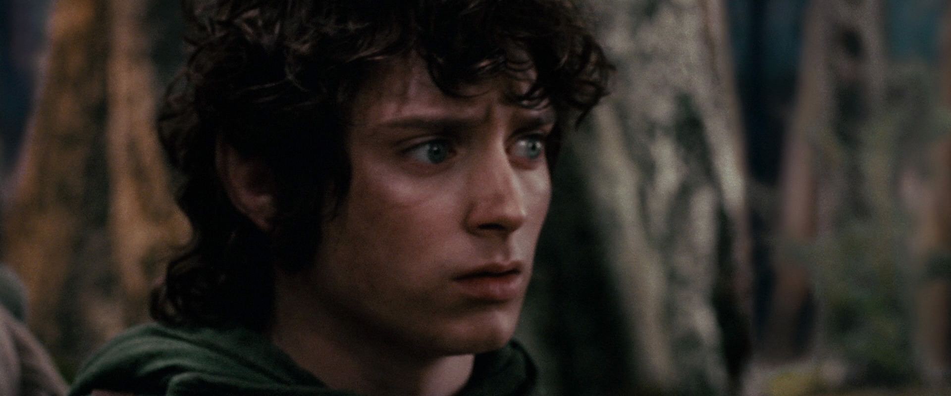 The Lord of the Rings: The Fellowship of the Ring (2001) movie still 17836