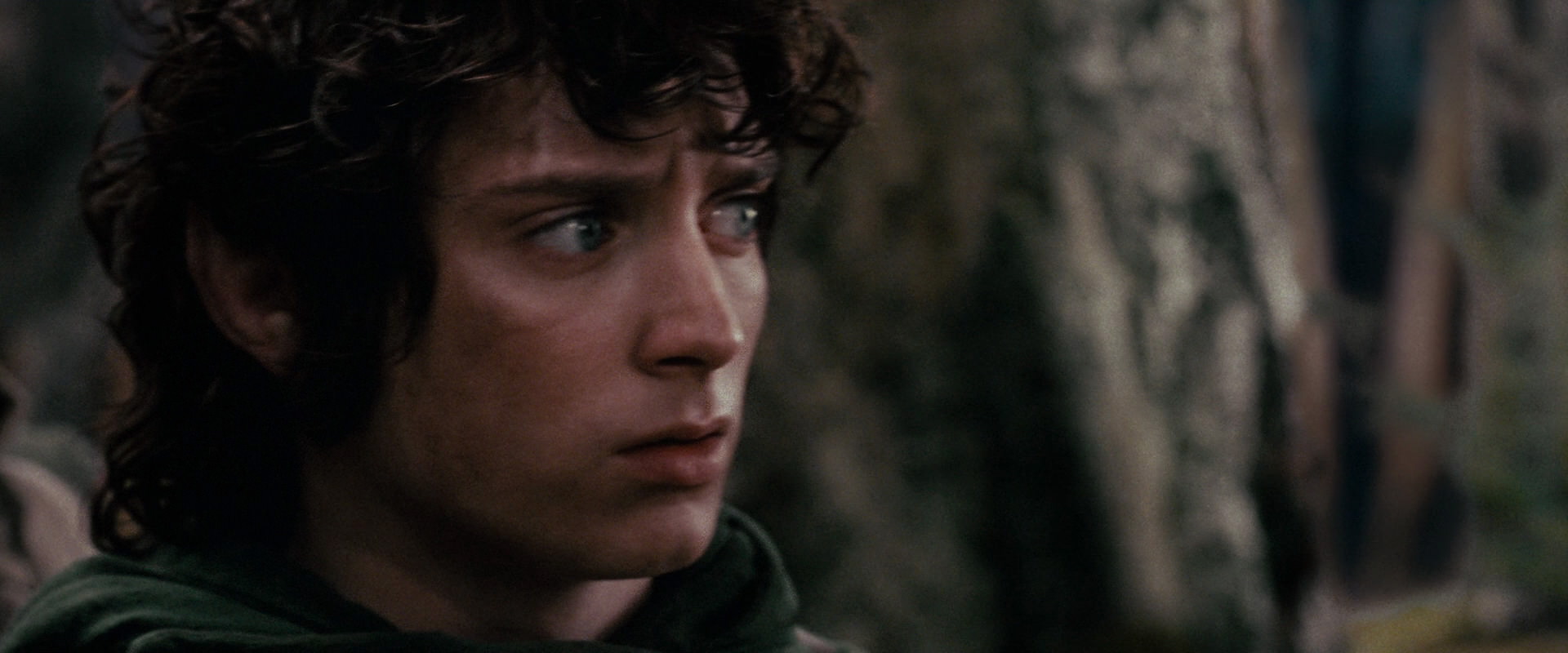 The Lord of the Rings: The Fellowship of the Ring (2001) HD screenshot 17837