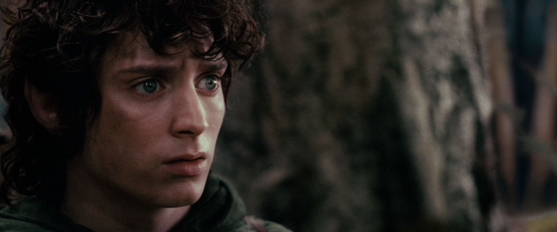 The Lord of the Rings: The Fellowship of the Ring (2001) screencap 17838