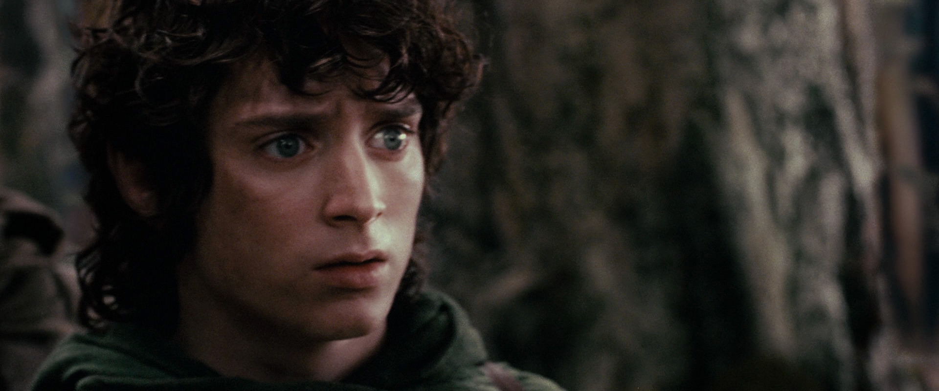 The Lord of the Rings: The Fellowship of the Ring (2001) movie still 17839