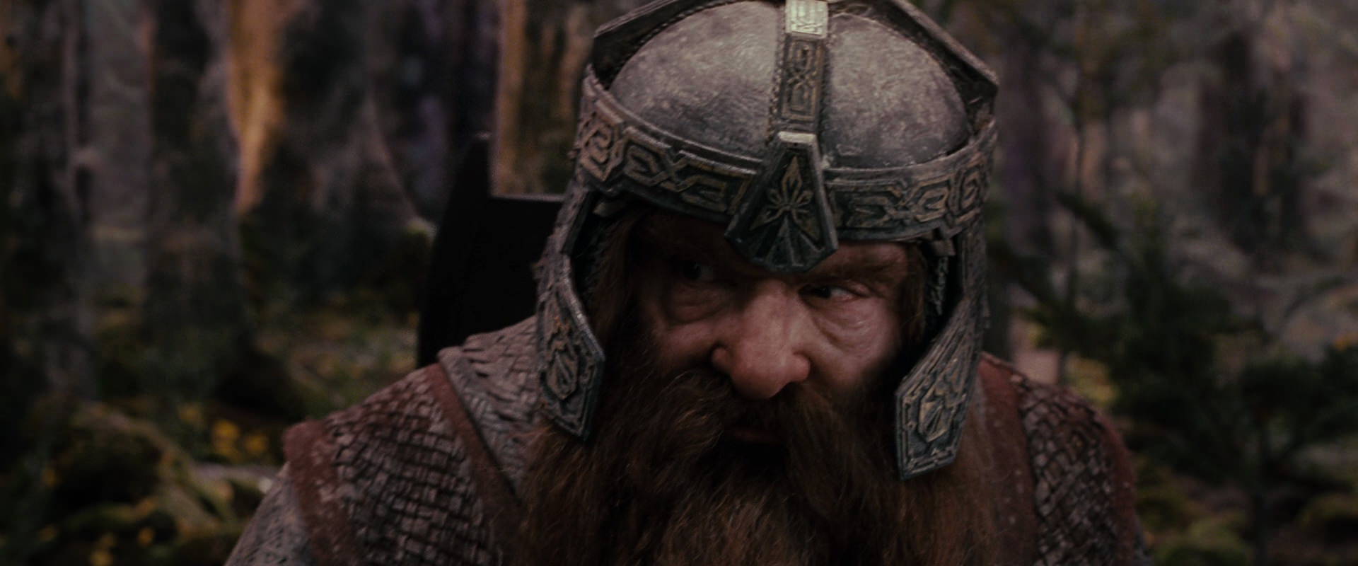The Lord of the Rings: The Fellowship of the Ring (2001) screencap 17841