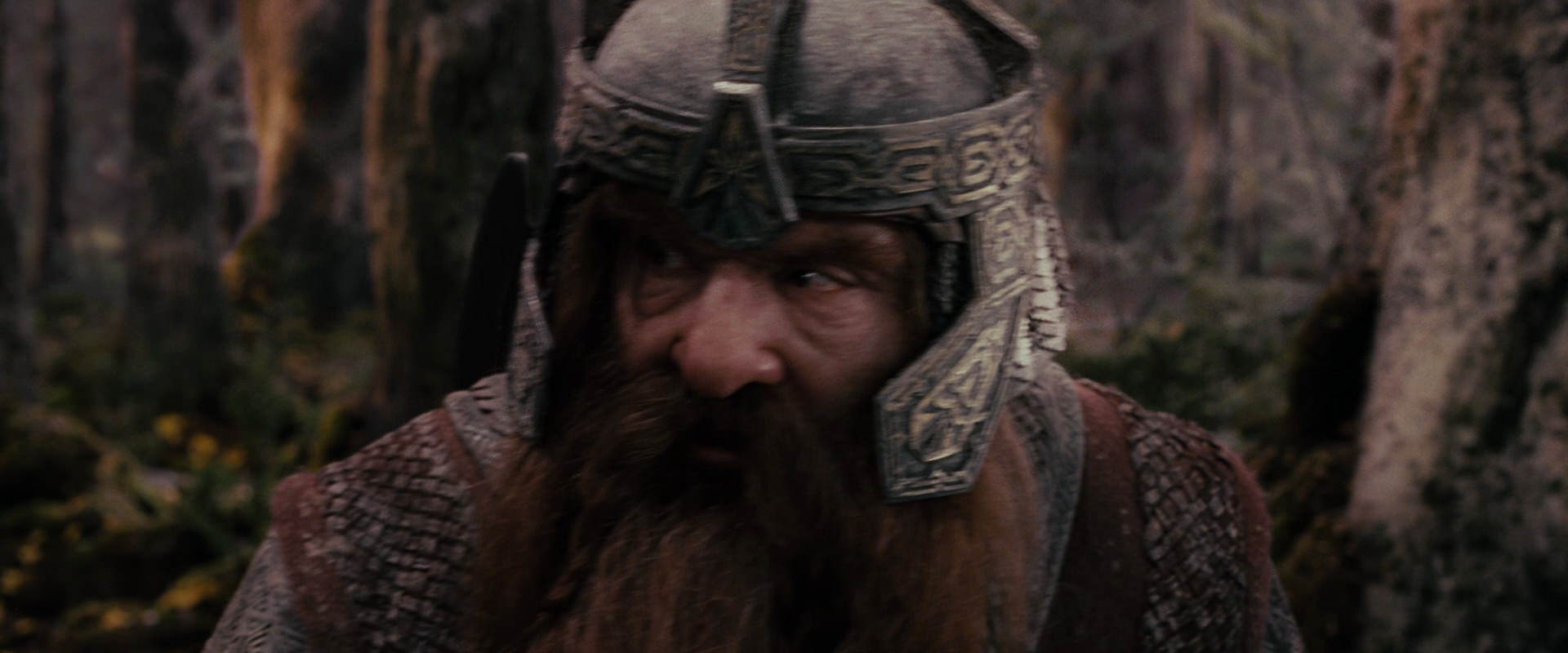 The Lord of the Rings: The Fellowship of the Ring (2001) screencap 17847