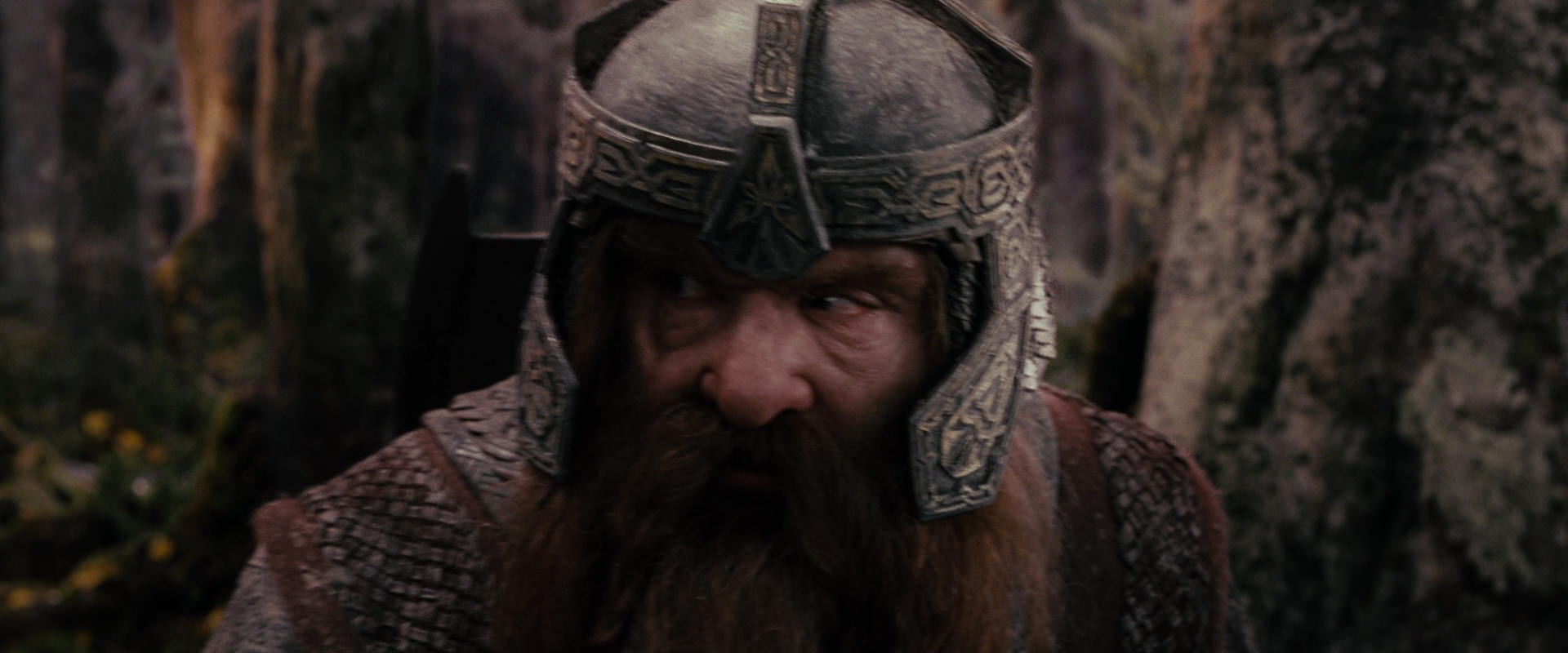 The Lord of the Rings: The Fellowship of the Ring (2001) HD screenshot 17849