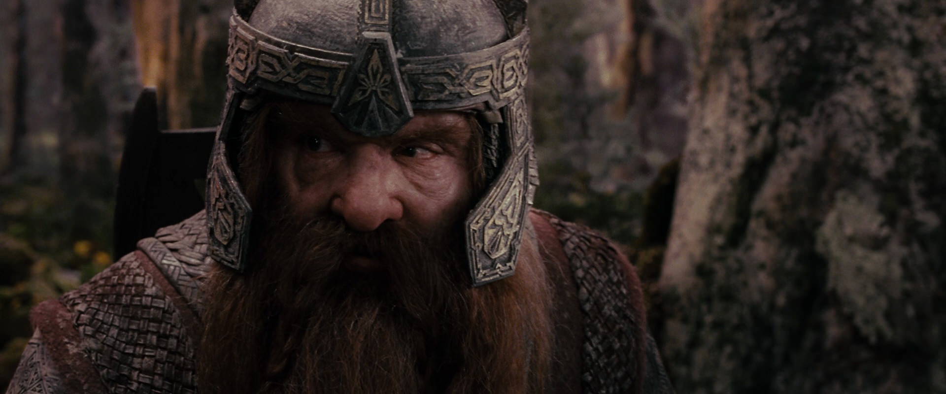 The Lord of the Rings: The Fellowship of the Ring (2001) screencap 17850