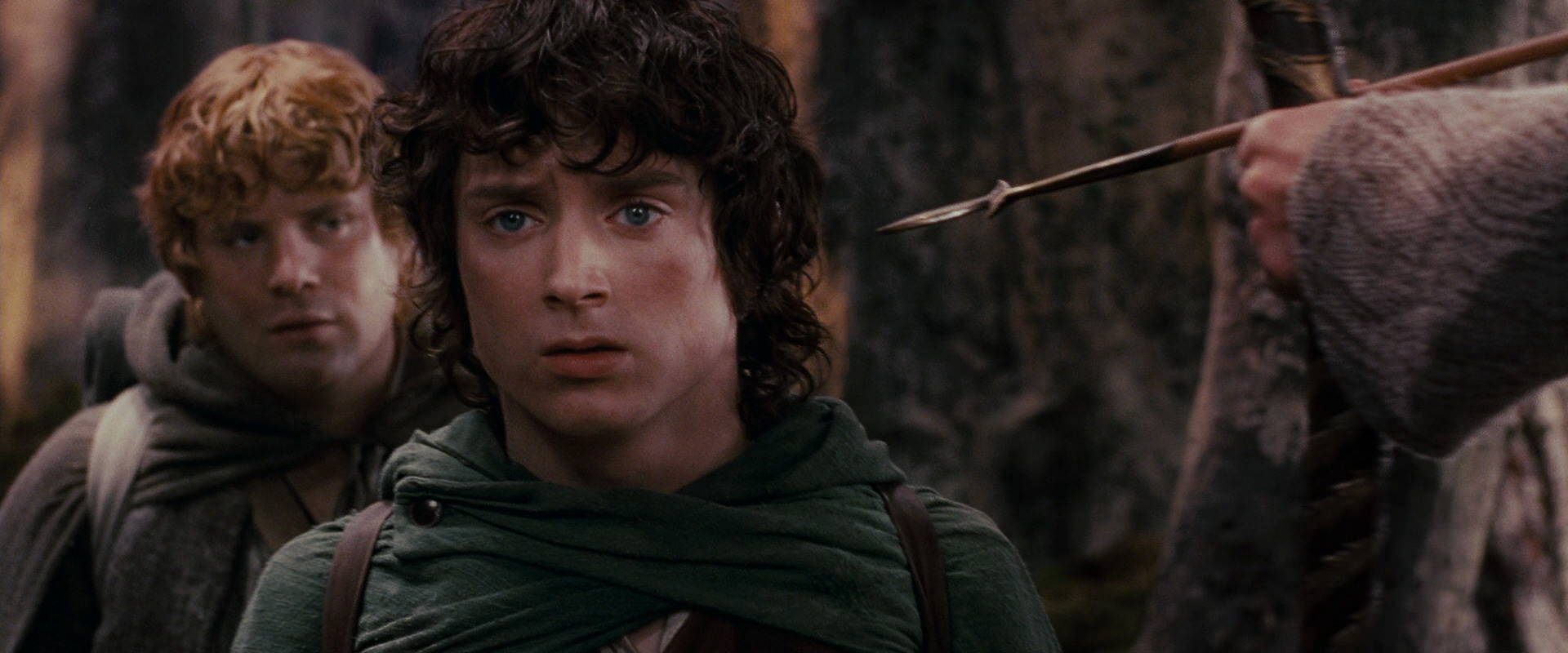 The Lord of the Rings: The Fellowship of the Ring (2001) movie still 17857