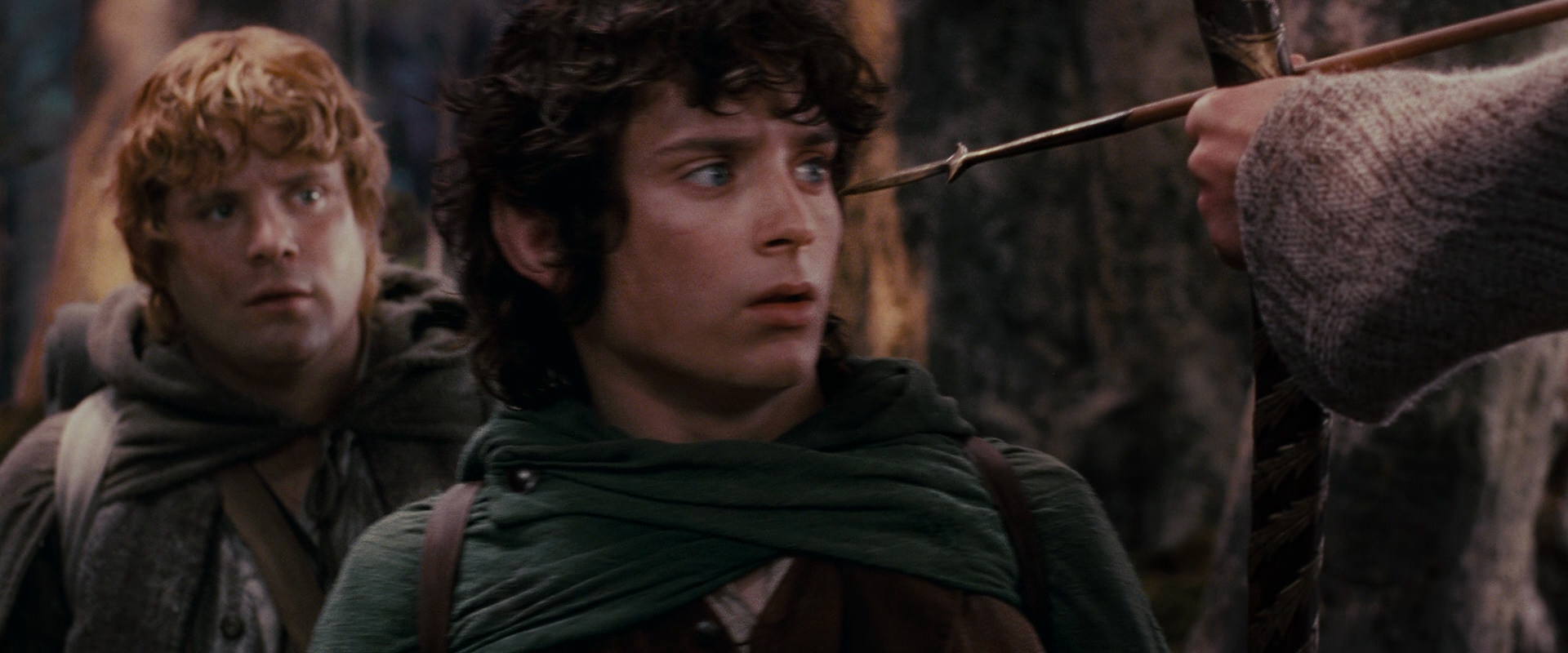 The Lord of the Rings: The Fellowship of the Ring (2001) HD screenshot 17858