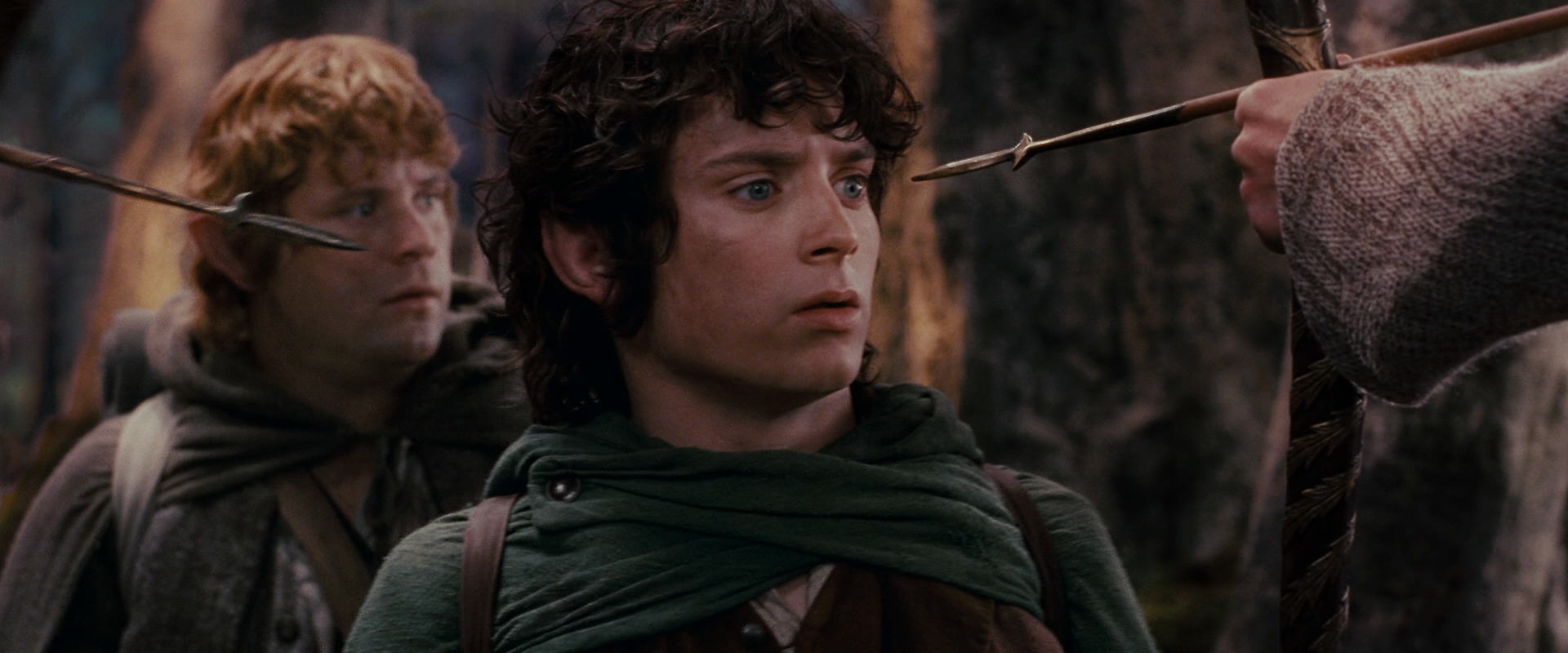 The Lord of the Rings: The Fellowship of the Ring (2001) screencap 17859