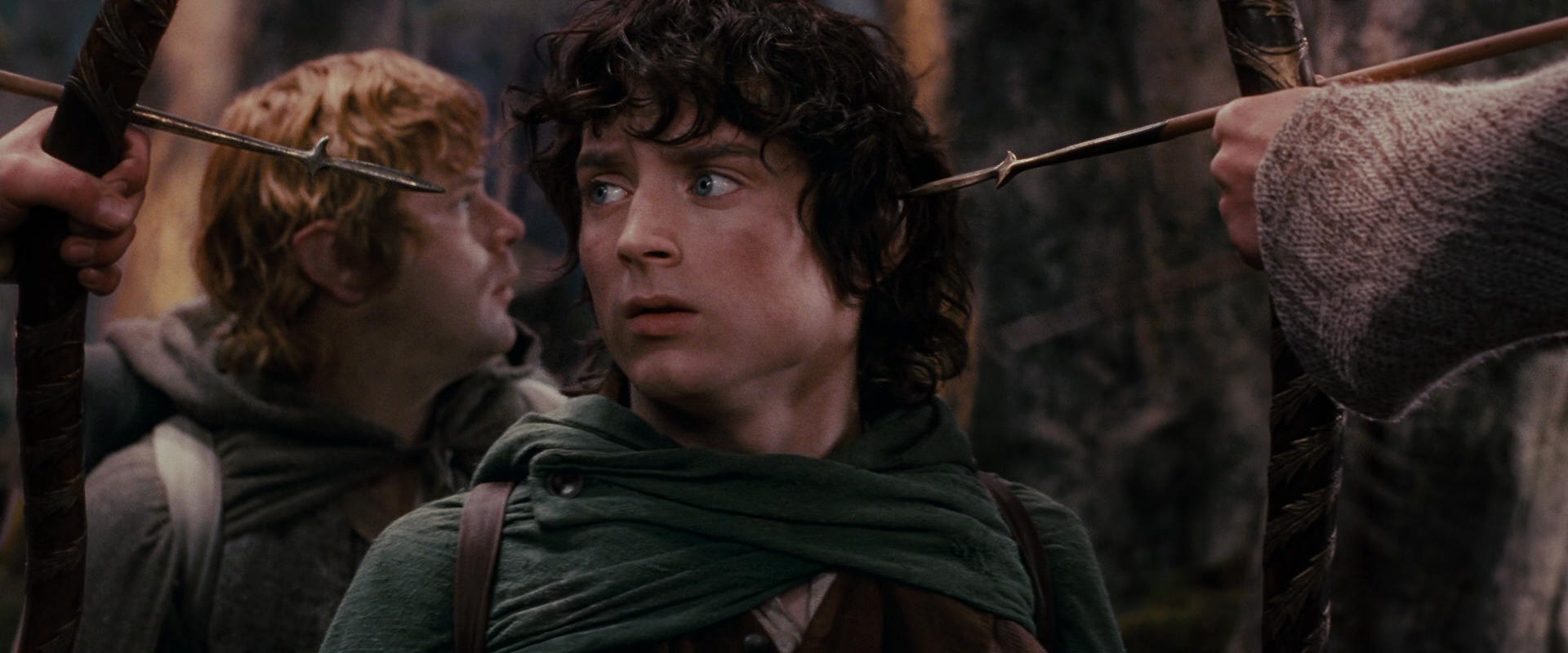 The Lord of the Rings: The Fellowship of the Ring (2001) movie still 17860