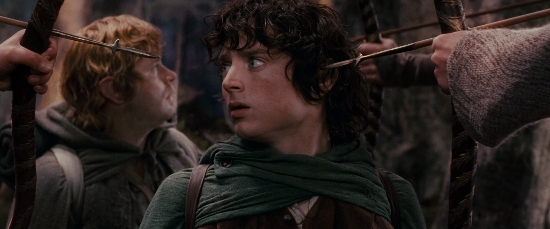The Lord of the Rings: The Fellowship of the Ring (2001) HD screenshot 17861