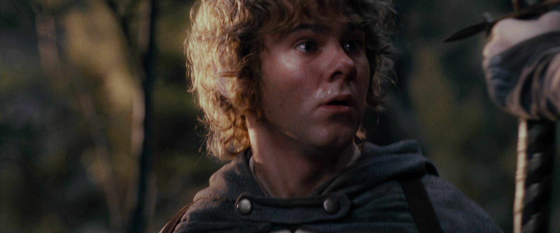 The Lord of the Rings: The Fellowship of the Ring (2001) screencap 17862
