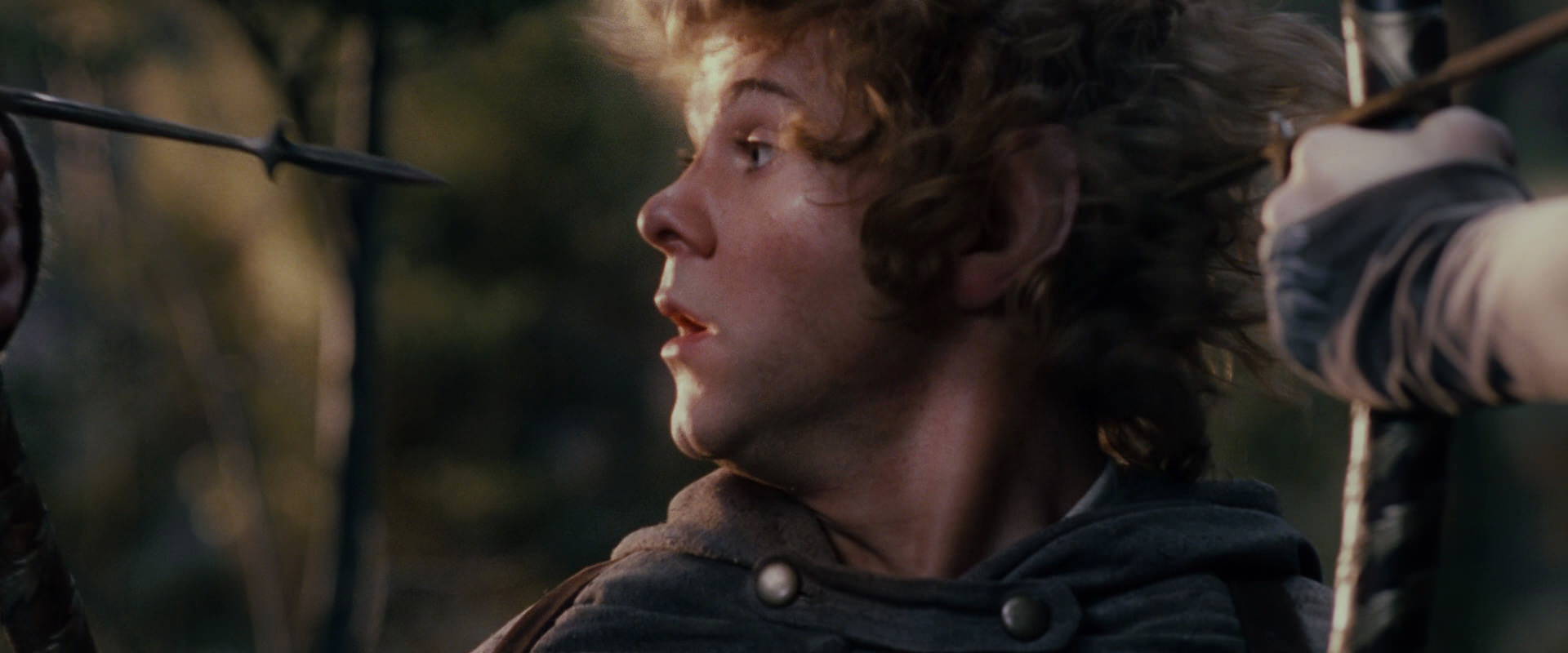 The Lord of the Rings: The Fellowship of the Ring (2001) movie still 17863