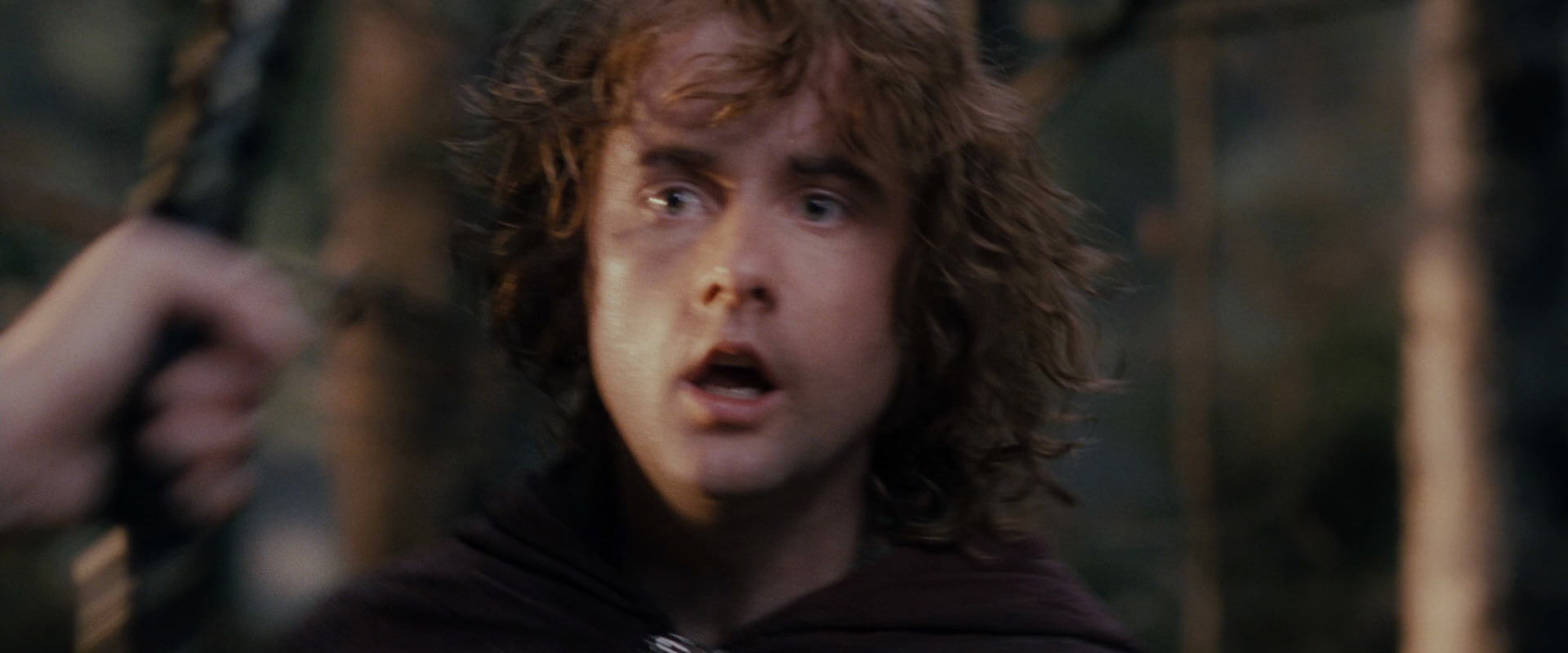 The Lord of the Rings: The Fellowship of the Ring (2001) HD screenshot 17864