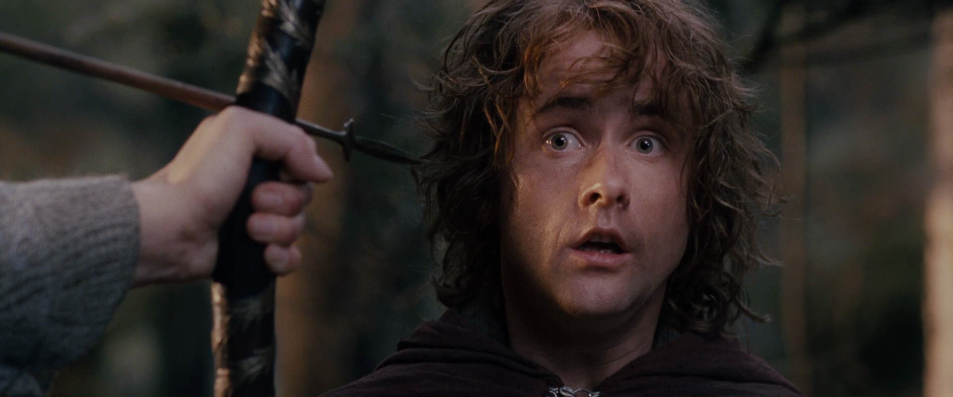 The Lord of the Rings: The Fellowship of the Ring (2001) screencap 17865