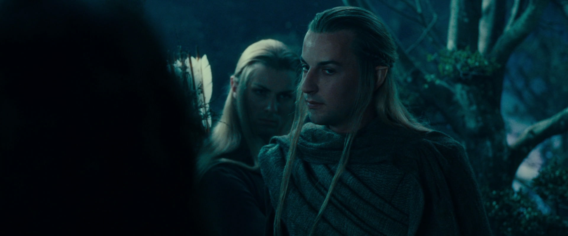 The Lord of the Rings: The Fellowship of the Ring (2001) movie still 17902