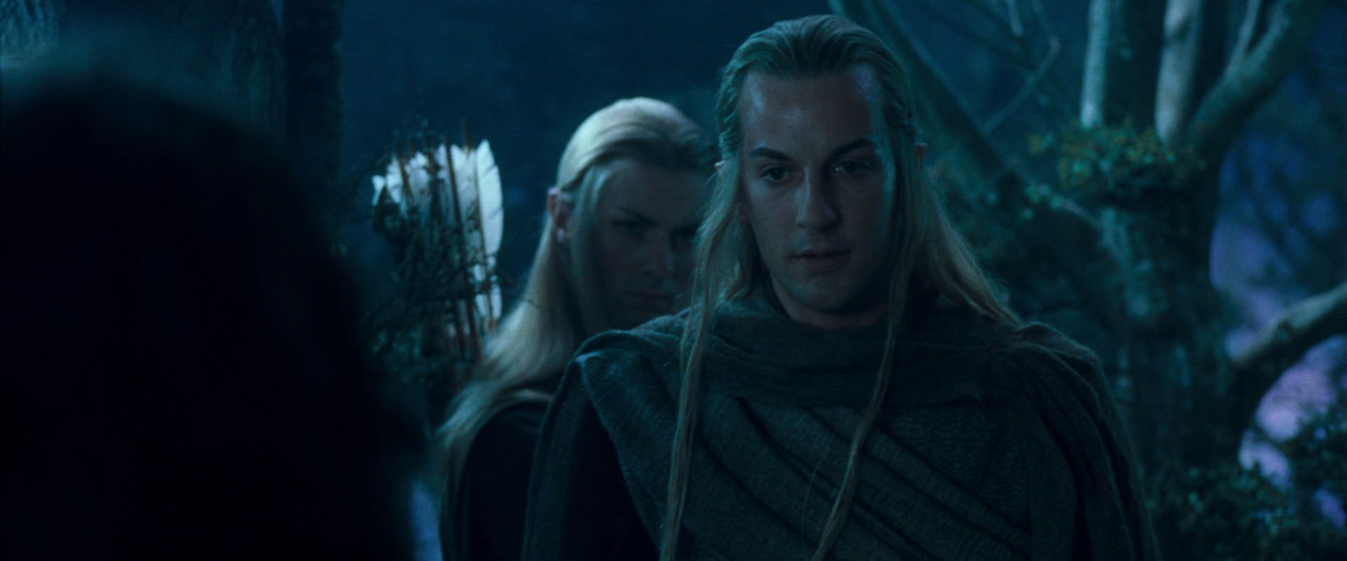 The Lord of the Rings: The Fellowship of the Ring (2001) movie still 17914