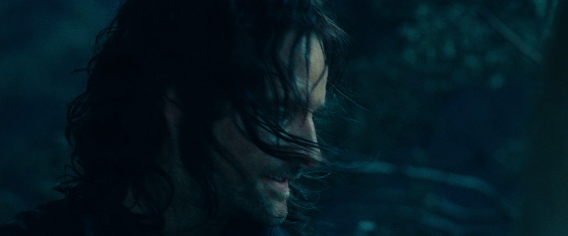 The Lord of the Rings: The Fellowship of the Ring (2001) screencap 17952