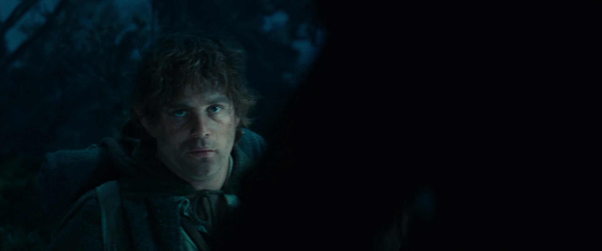 The Lord of the Rings: The Fellowship of the Ring (2001) screencap 17961