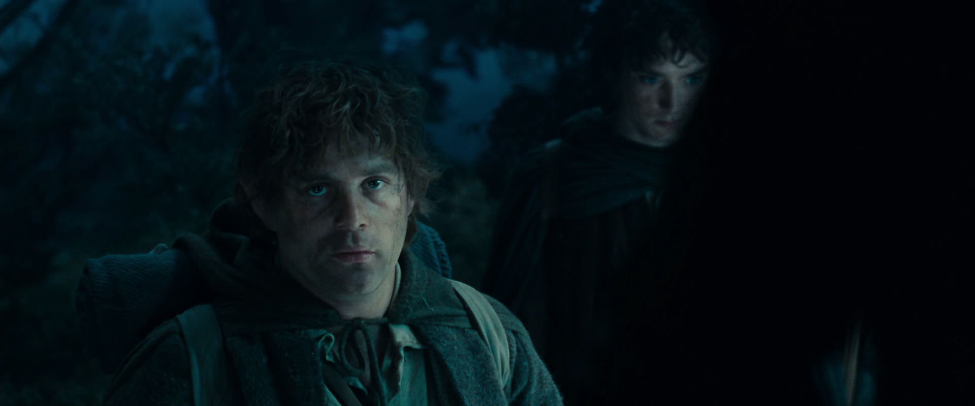 The Lord of the Rings: The Fellowship of the Ring (2001) movie still 17962