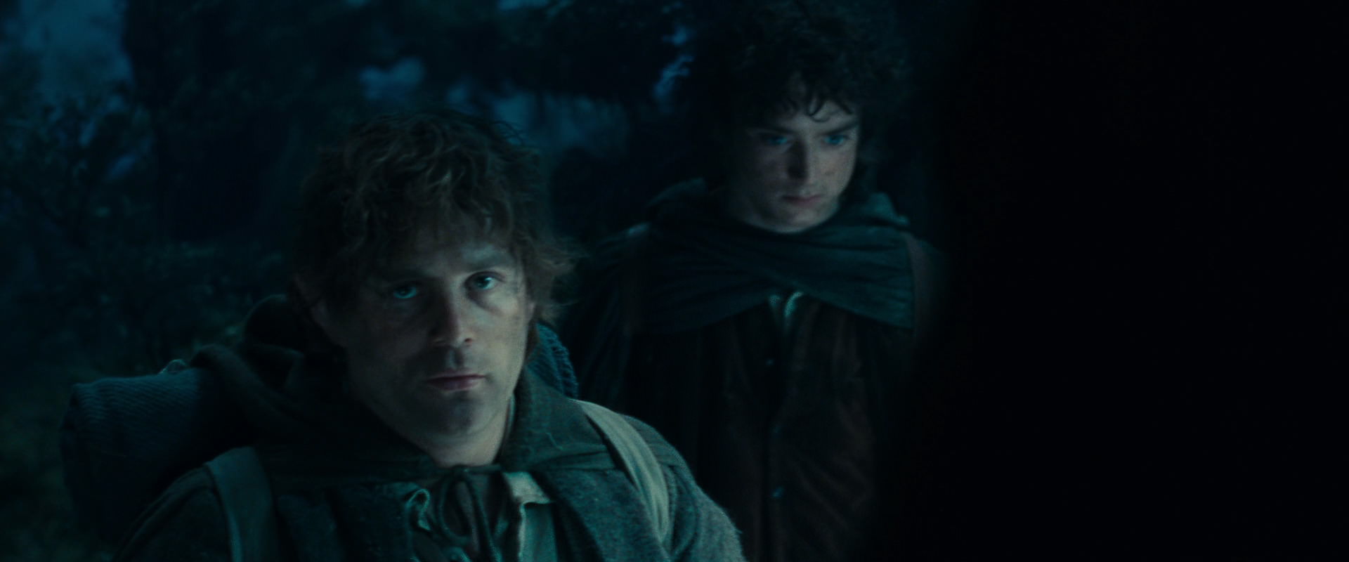 The Lord of the Rings: The Fellowship of the Ring (2001) HD screenshot 17963