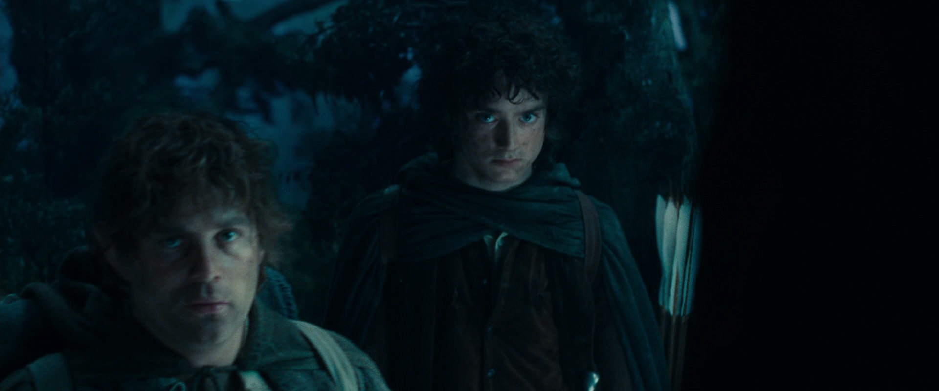 The Lord of the Rings: The Fellowship of the Ring (2001) screencap 17964