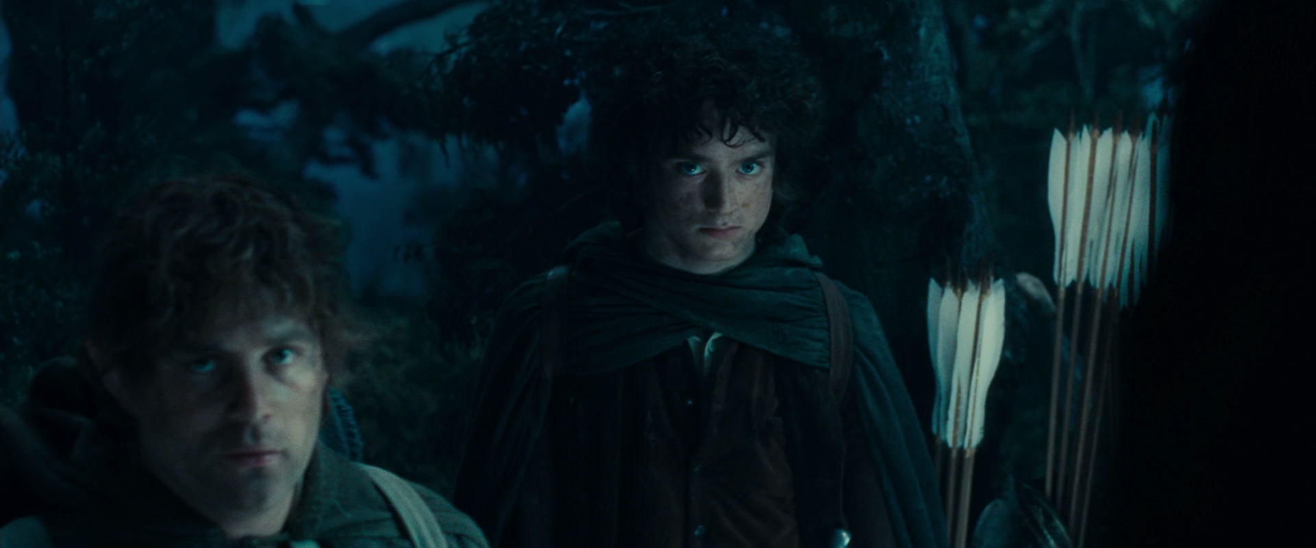 The Lord of the Rings: The Fellowship of the Ring (2001) movie still 17965