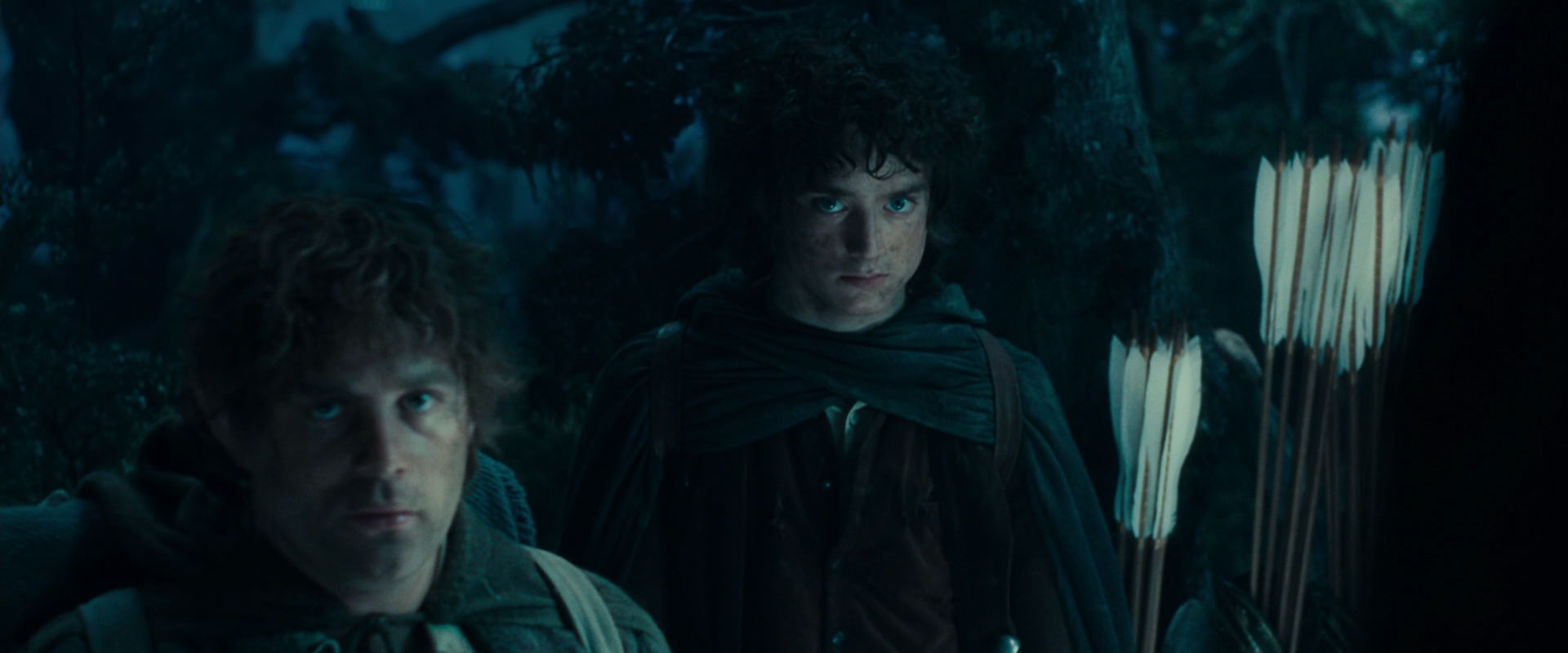 The Lord of the Rings: The Fellowship of the Ring (2001) HD screenshot 17966