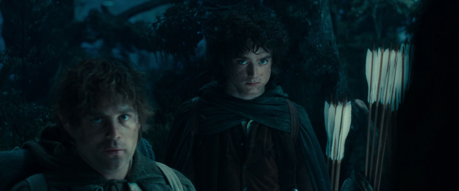 The Lord of the Rings: The Fellowship of the Ring (2001) screencap 17967