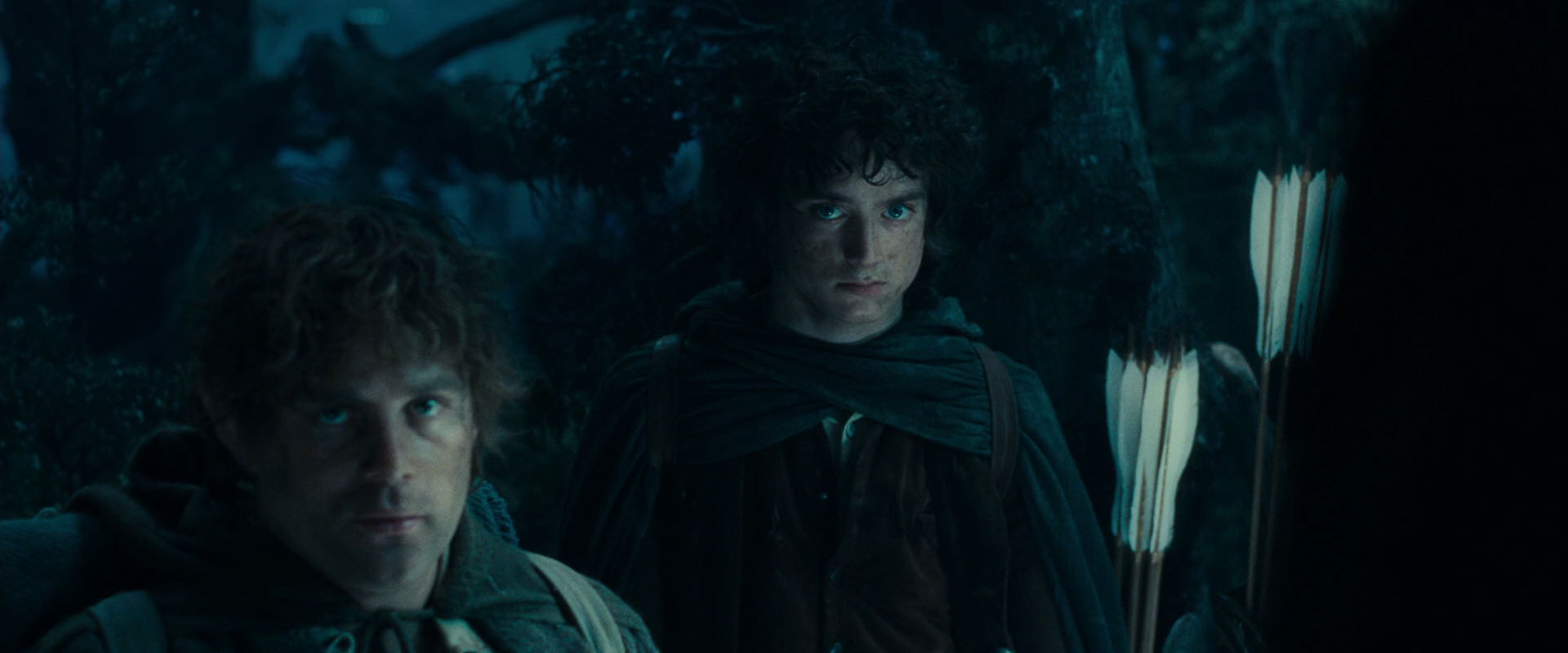 The Lord of the Rings: The Fellowship of the Ring (2001) movie still 17968