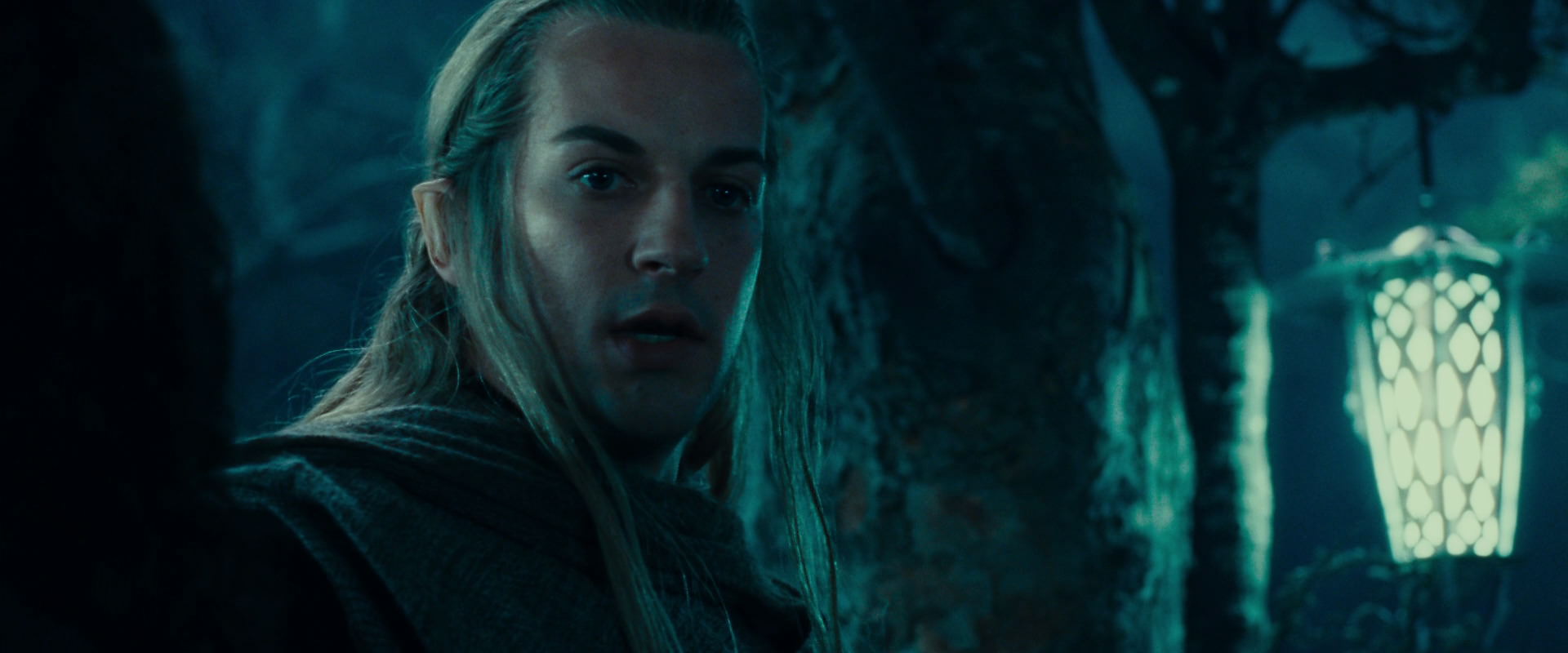 The Lord of the Rings: The Fellowship of the Ring (2001) screencap 17970