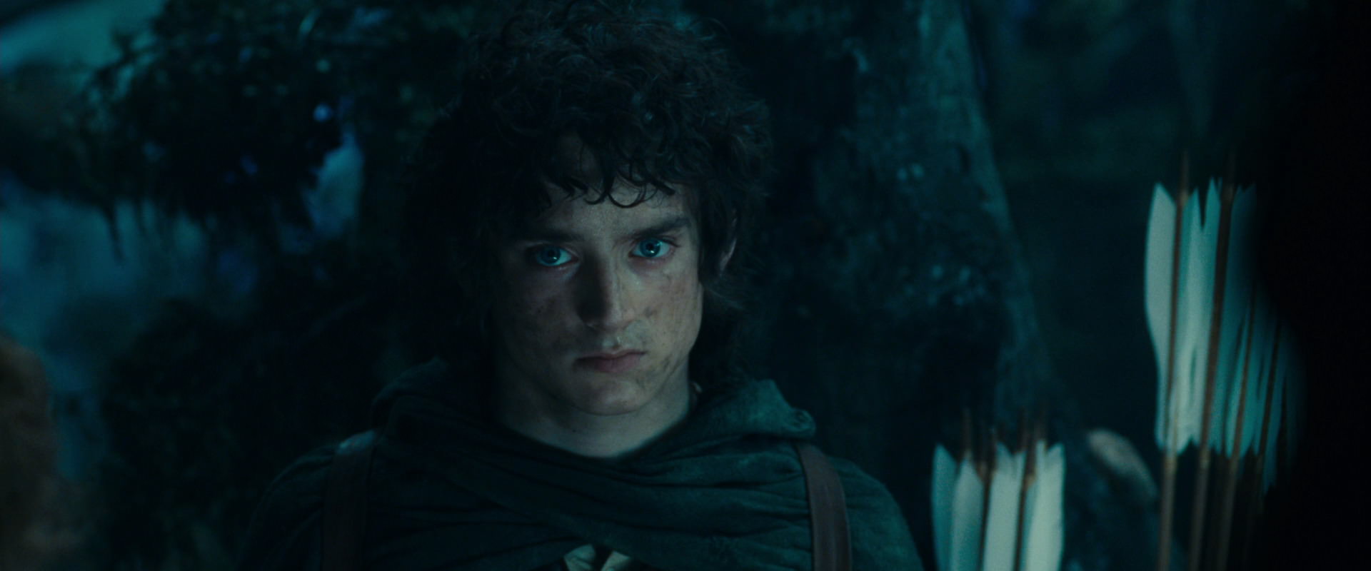 The Lord of the Rings: The Fellowship of the Ring (2001) HD screenshot 17975