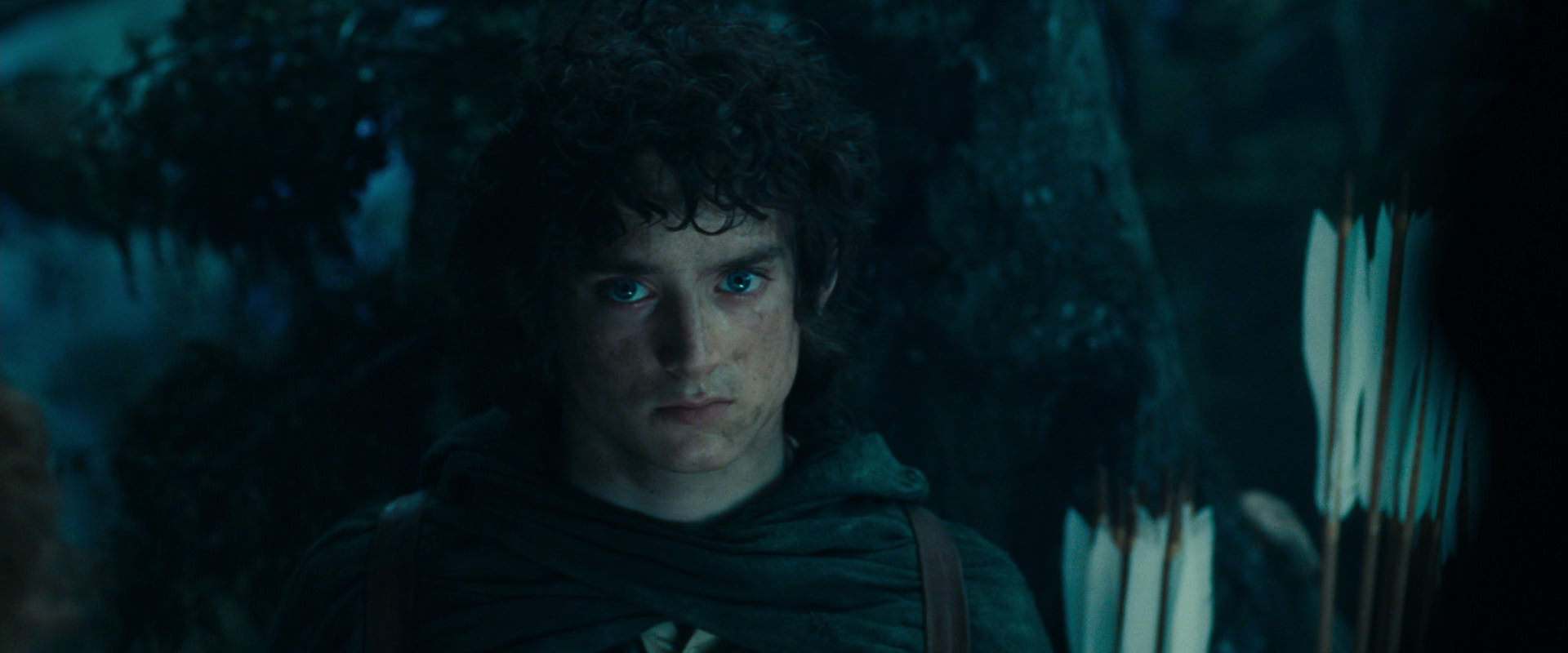 The Lord of the Rings: The Fellowship of the Ring (2001) screencap 17976