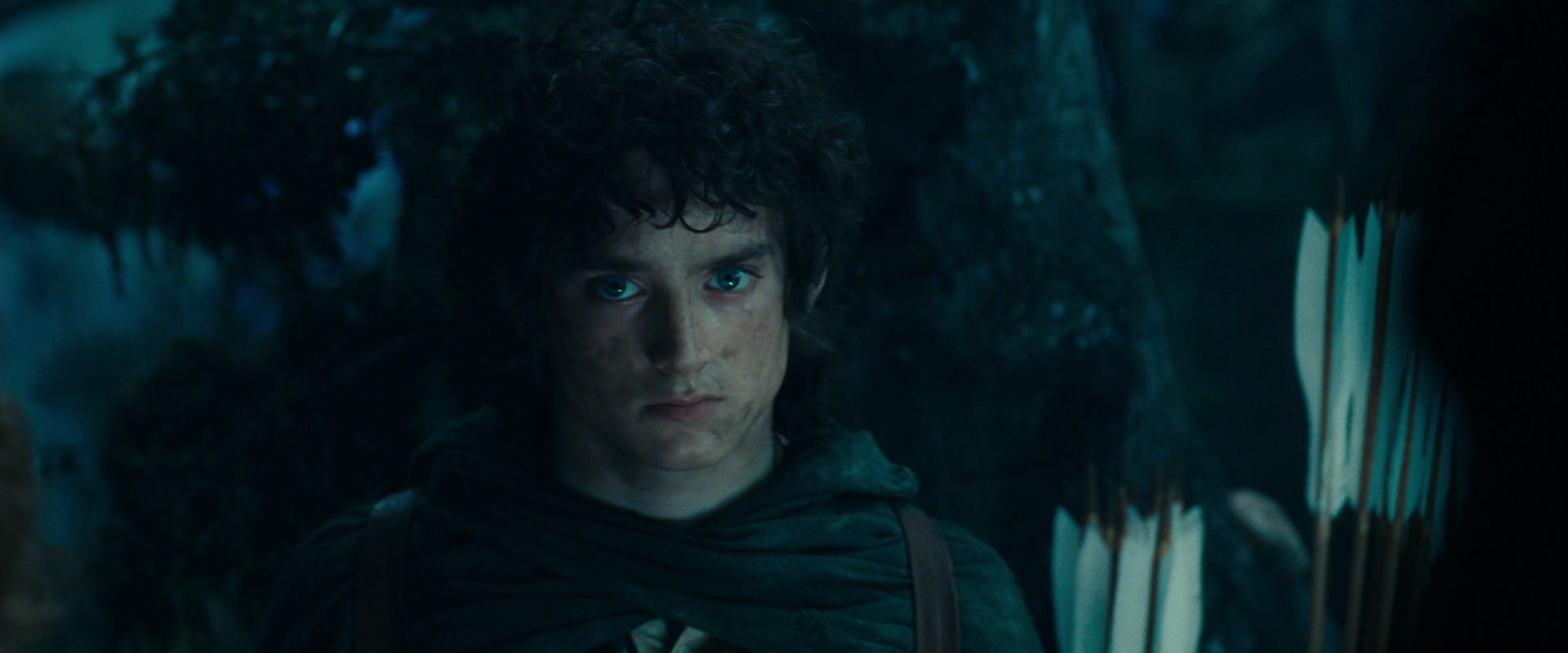 The Lord of the Rings: The Fellowship of the Ring (2001) movie still 17977