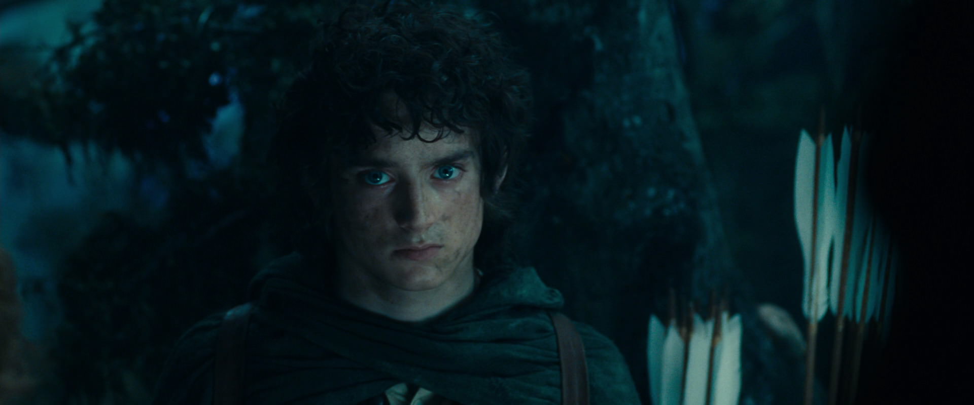 The Lord of the Rings: The Fellowship of the Ring (2001) HD screenshot 17978