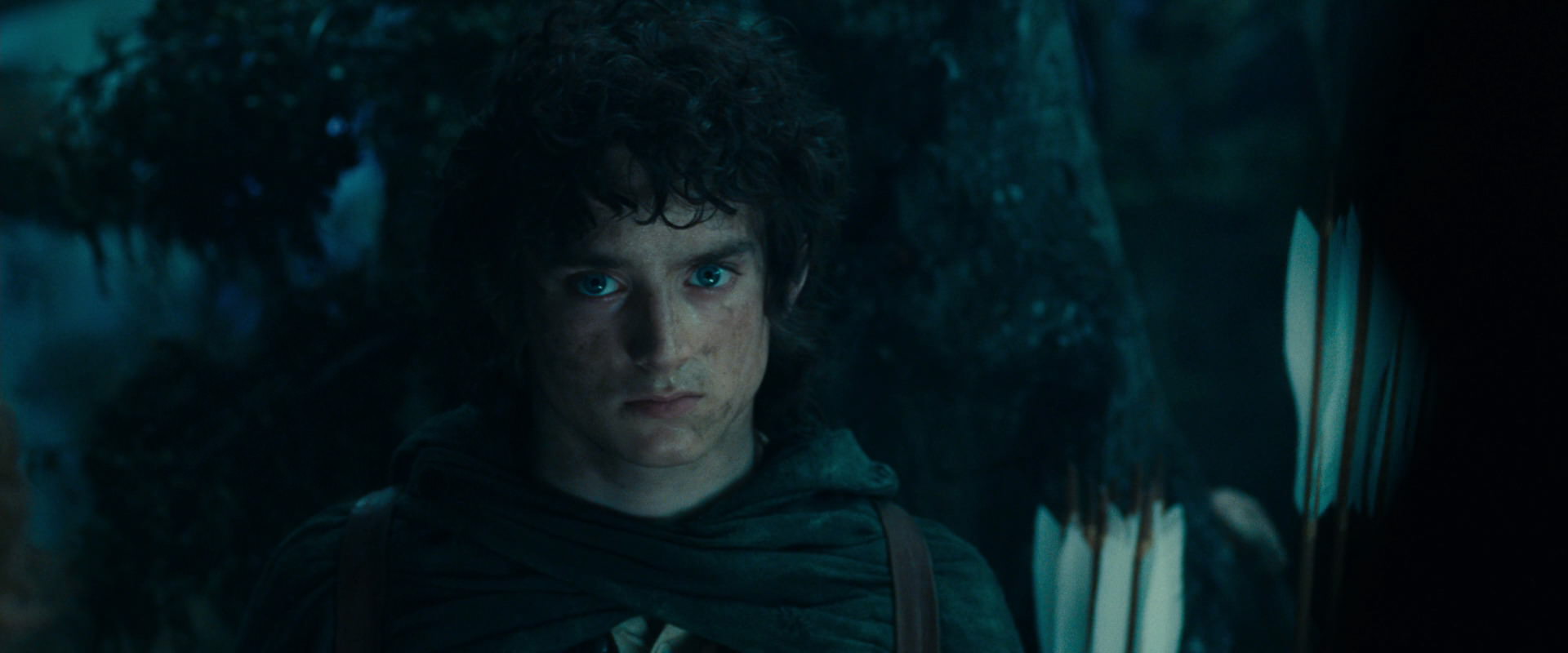 The Lord of the Rings: The Fellowship of the Ring (2001) screencap 17979