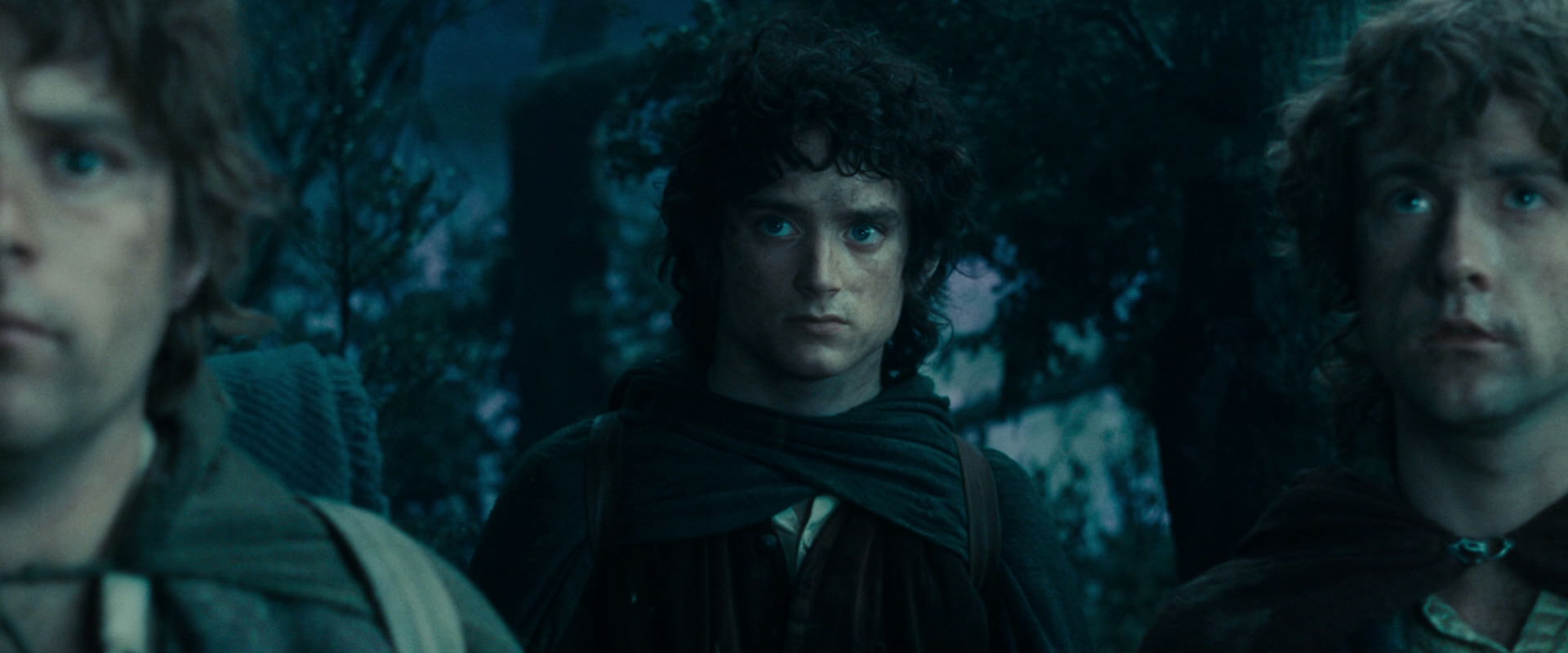The Lord of the Rings: The Fellowship of the Ring (2001) HD screenshot 17987