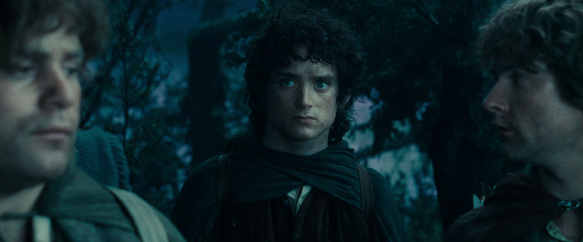 The Lord of the Rings: The Fellowship of the Ring (2001) screencap 17988