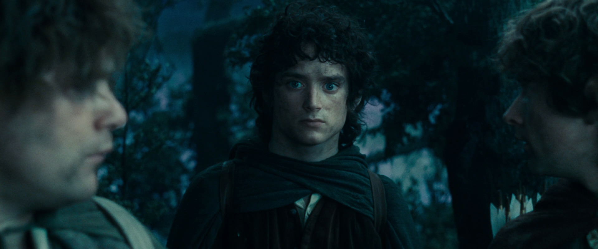The Lord of the Rings: The Fellowship of the Ring (2001) movie still 17989