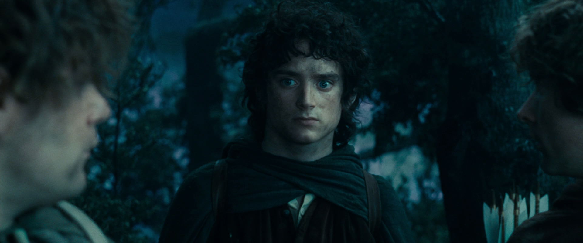 The Lord of the Rings: The Fellowship of the Ring (2001) HD screenshot 17990