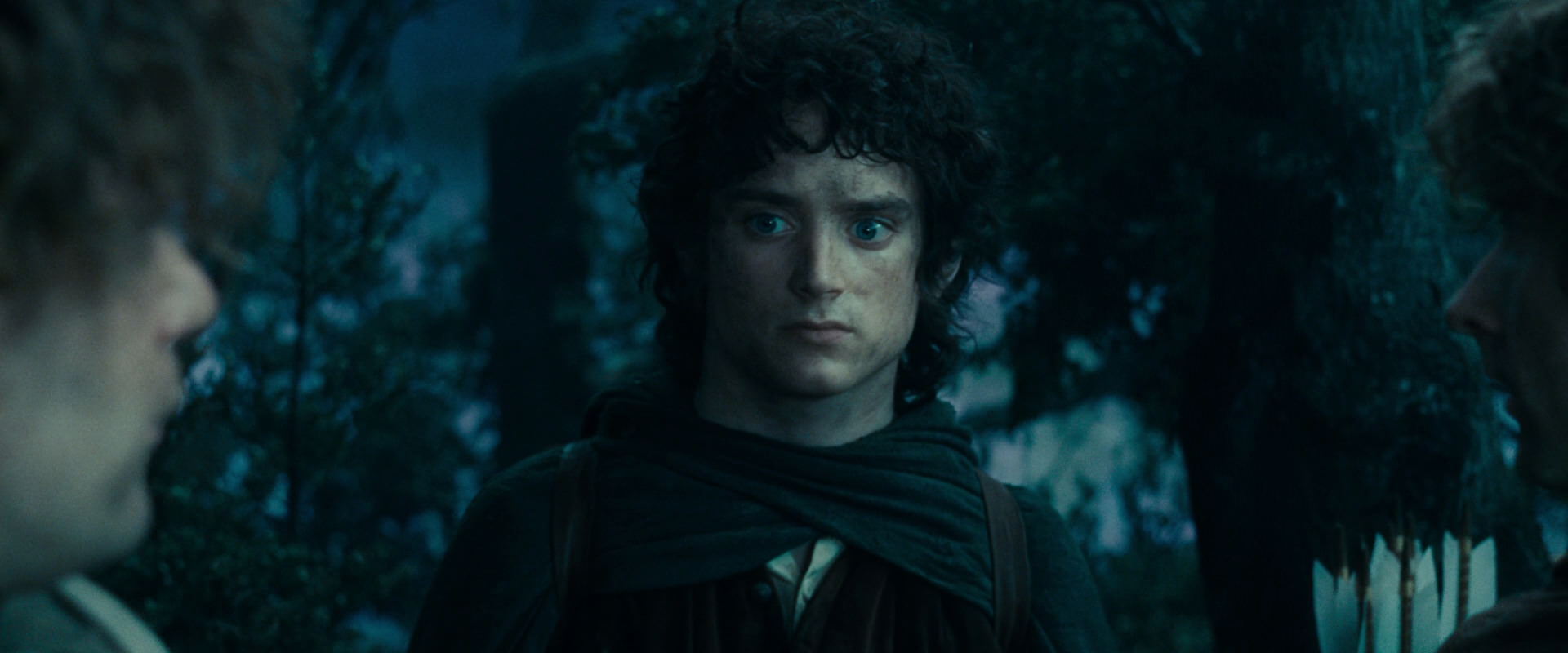 The Lord of the Rings: The Fellowship of the Ring (2001) screencap 17991