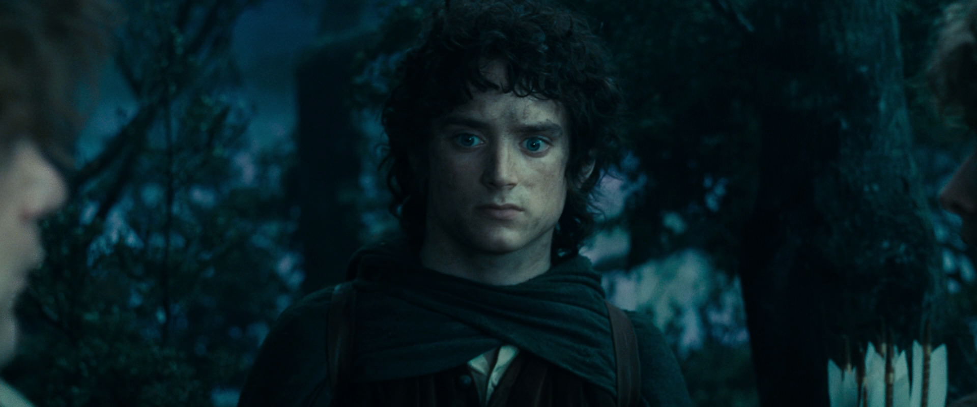 The Lord of the Rings: The Fellowship of the Ring (2001) movie still 17992