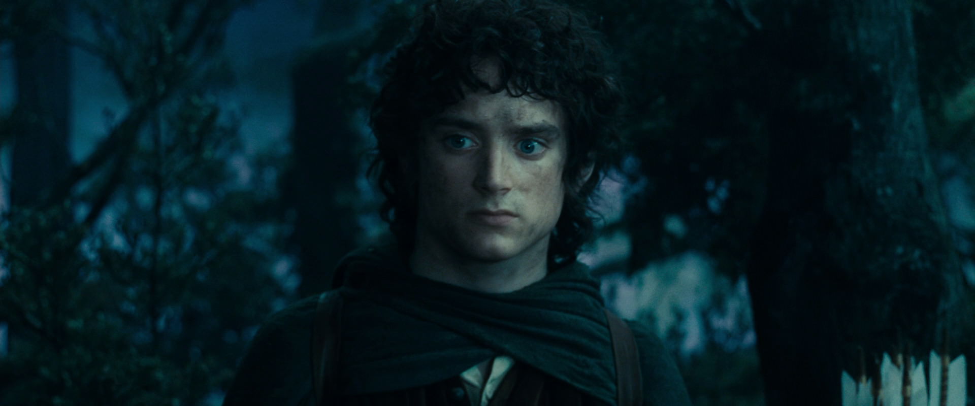 The Lord of the Rings: The Fellowship of the Ring (2001) HD screenshot 17993