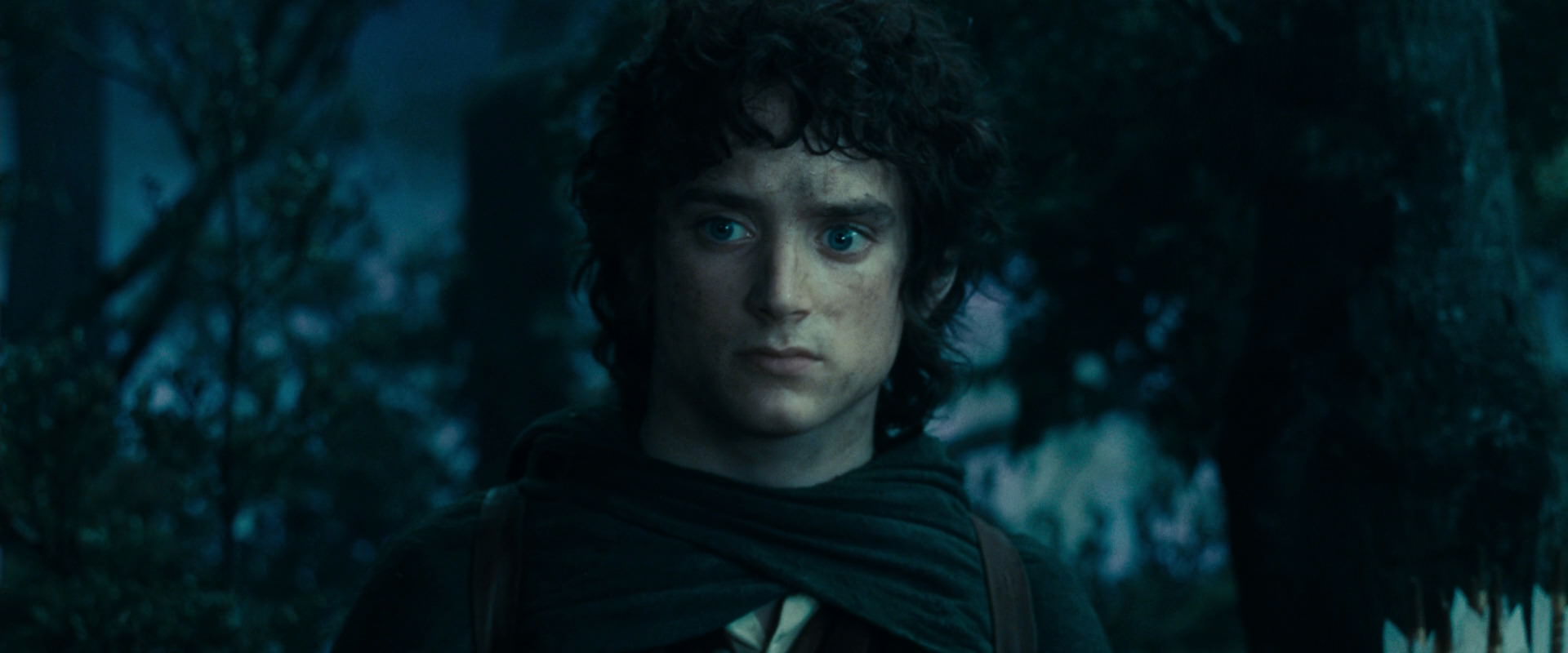 The Lord of the Rings: The Fellowship of the Ring (2001) screencap 17994