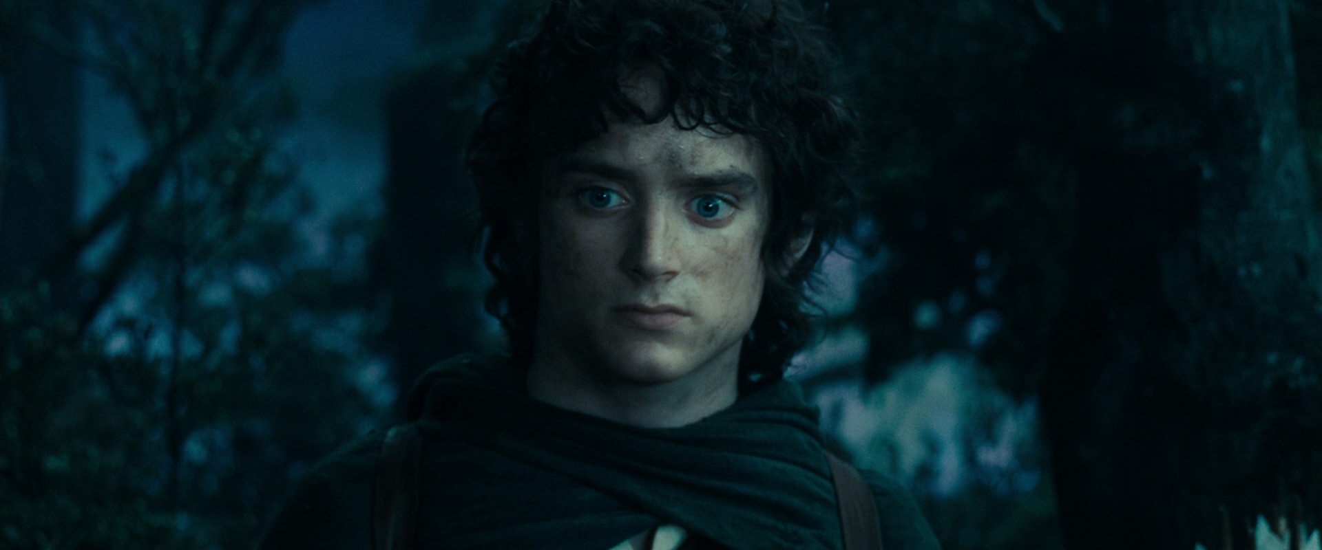 The Lord of the Rings: The Fellowship of the Ring (2001) movie still 17995